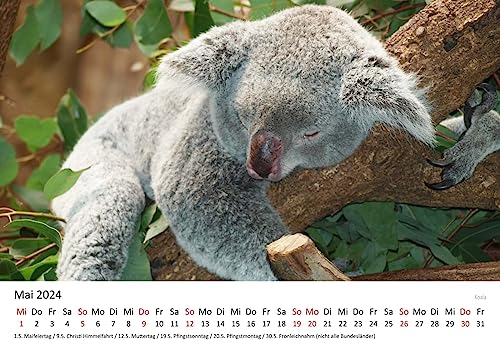 Edition-Seidel-Premium-Kalender-Australien-2024-Format-DIN-A3-Wandkalender-Pazifik-Sydney-Melbourne-Nationalpark-Uluru-Ayers-Rock-0-2