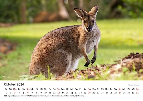 Edition-Seidel-Premium-Kalender-Australien-2024-Format-DIN-A3-Wandkalender-Pazifik-Sydney-Melbourne-Nationalpark-Uluru-Ayers-Rock-0-5