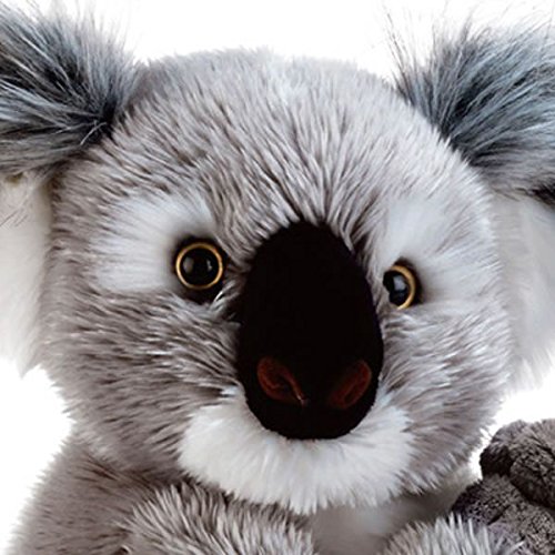 Plueschtier-Koala-Koline-22-cm-0-0