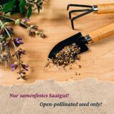 Australische-Pflanzen-Samen-Geschenkset-mit-3-typischen-Sorten-aus-Down-Under-0-6 Australische-Pflanzen-Samen-Geschenkset-mit-3-typischen-Sorten-aus-Down-Under-0-6