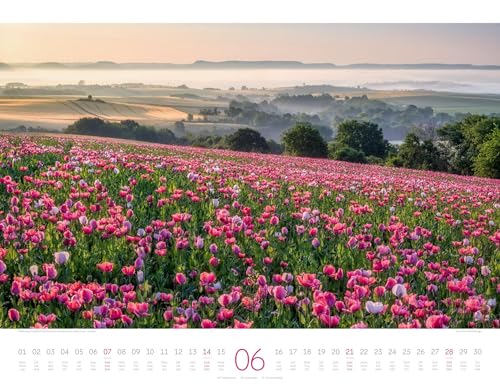 Deutschland-Kalender-2026-Zauberhafte-Landschaften-Geschmackvoller-Natur-Kalender-im-grossen-Querformat-54×42-cm-Landschaftsfotografie-0-5 Deutschland-Kalender-2026-Zauberhafte-Landschaften-Geschmackvoller-Natur-Kalender-im-grossen-Querformat-54×42-cm-Landschaftsfotografie-0-5