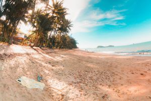 21 breathtaking highlights on the east coast of Australia🐨🏖️🌊