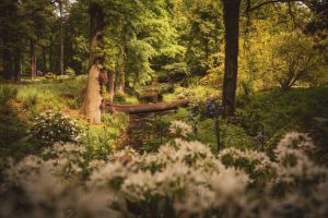 Places to Visit Around D&uuml;sseldorf &ndash; The Best Nature Outings