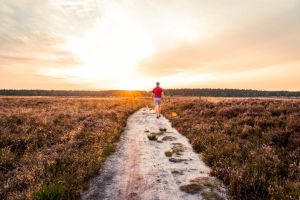 Places to Visit in the L&uuml;neburg Heath: The Best Tips for a Weekend