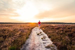 Ausflugsziele Lüneburger Heide: Die besten Tipps für ein Wochenende im lila Eldorado