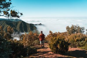 Hiking in Tenerife: 8 varied and easy hikes on the Canary Island