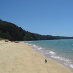 Strandblick im Abel Tasman Nationalpark
