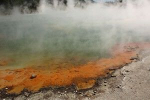 Wai-O-Tapu Champagne Poll