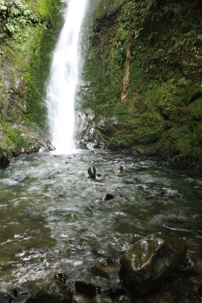 Babyrobben-See an den Ohau Waterfall