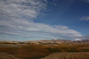 Blenheim Landschaft Neuseeland