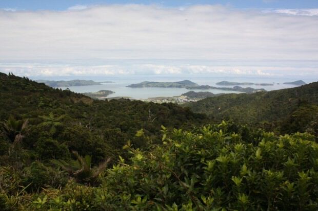 Coromandel
