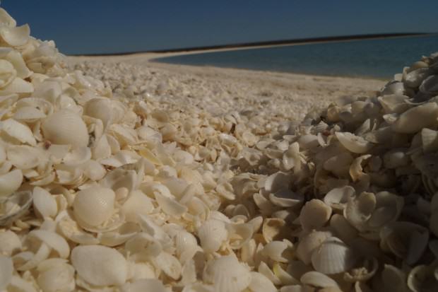 Shark Bay