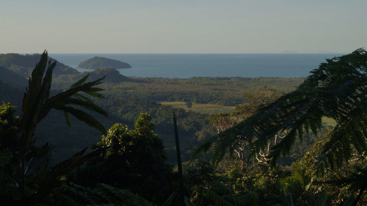 Daintree Rainforest Der Alteste Regenwald Der Welt Travel Du De