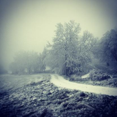 winter melanchonia