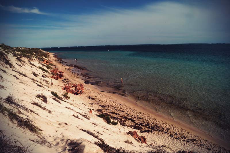 Westküste Australien: Coral Bay Ningaloo Reef