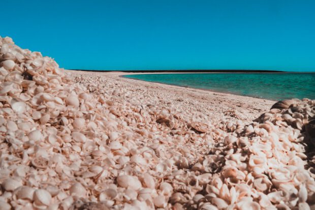 Westküste Australien Muschelstrand