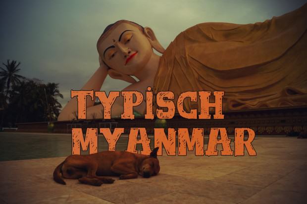 Buddha beobachtet Hund in Bago Myanmar