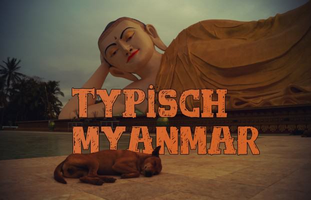 Buddha beobachtet Hund in Bago Myanmar