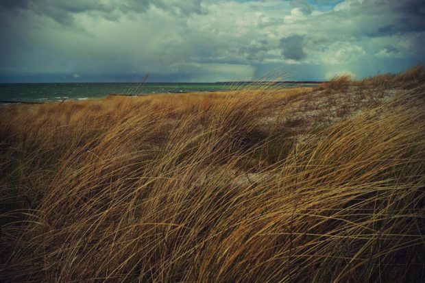 wehende Dünen bei Ahrenshoop