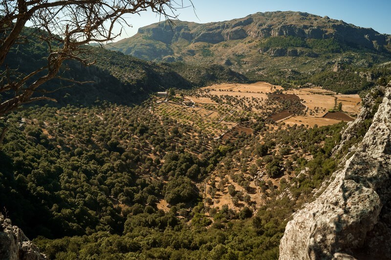 Landschaft Kloster Lluc auf Mallorca
