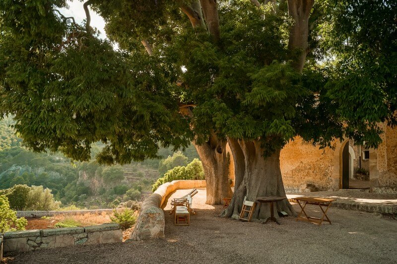 Hof der casa rural mit Bäumen auf Mallorca