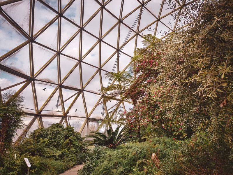 botanical garden duesseldorf dome greenhouse interior