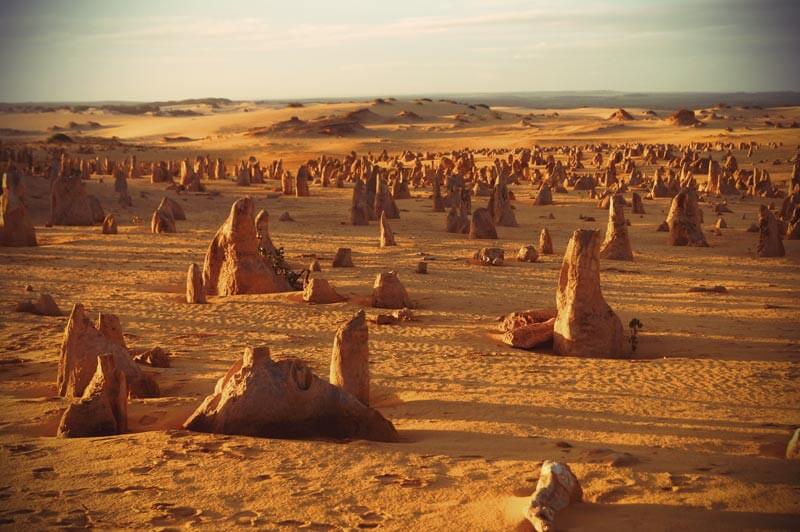 pinnacles Wüste Western Australia