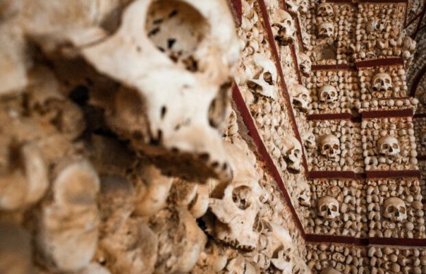 Skulls in the Capela dos Ossos