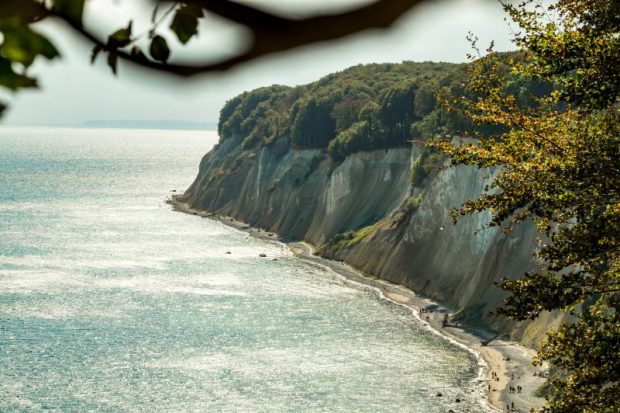 Kalksteinfelsen am Hochuferweg im Jasmund Nationalpark auf Rügen