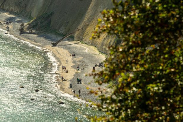 People collect amber on the chalk coast of Rügen in Jasmund National Park