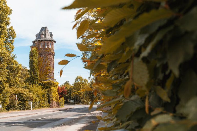 entfernung fahrrad köln nach düsseldorf am rhein entlang