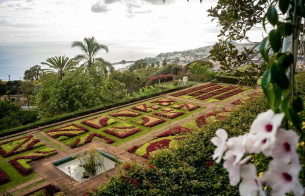 Blumenfeld im Jardim Botanico da Madeira