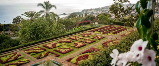 Blumenfeld im Jardim Botanico da Madeira