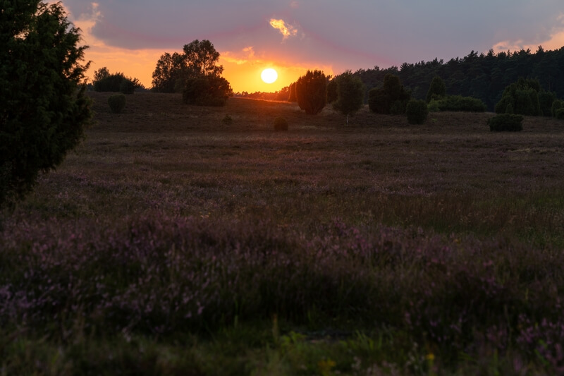 Sonnenuntergang Döhler Heide