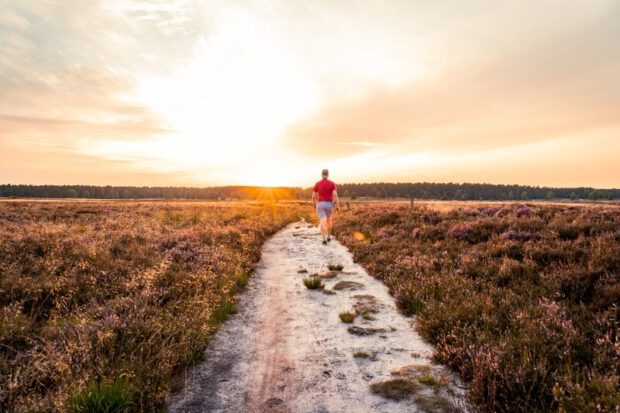 Ausflugsziele Lüneburger Heide