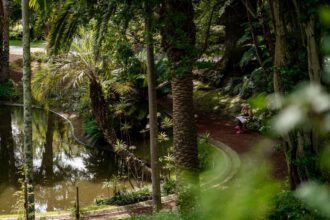 52+ Botanischer Garten Ponta Delgada, Things to do ranked using