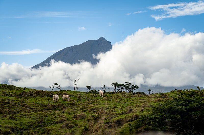 Hochland Pico mit Blick auf Vulkan