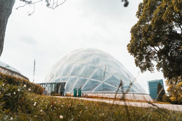 Amazing Aarhus in Denmark 14 MustVisit Sights You Can't Miss