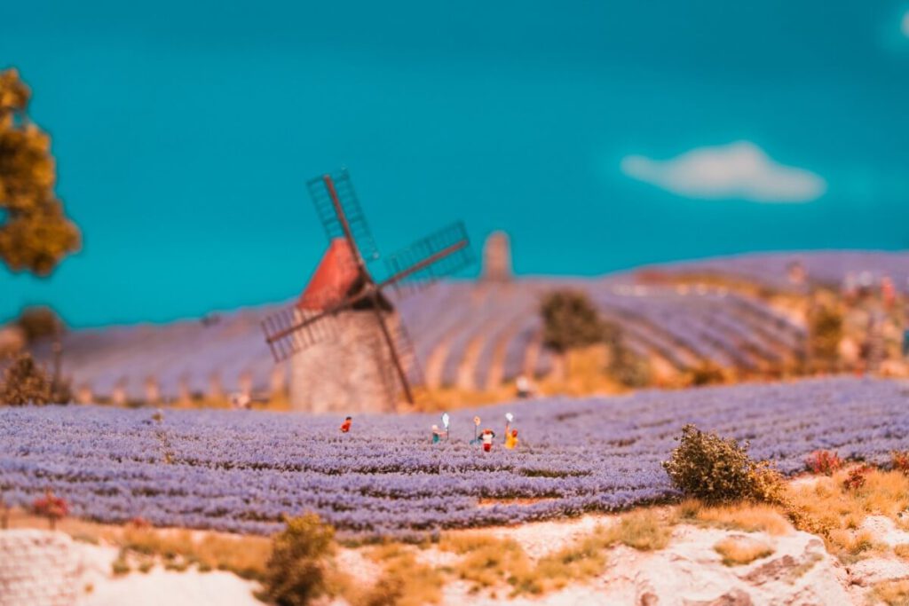 Die Lavendelfelder der Provence als Model im Miniaturwunderland