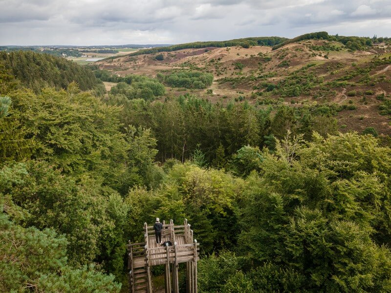 Der Ausblick über den Wald und die Heideflächen vom Holzturm Skovtarnet.