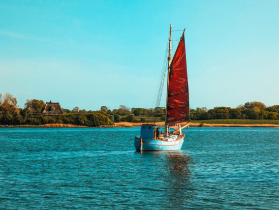 Blick auf ein Boot, das entlang der Schlei segelt.