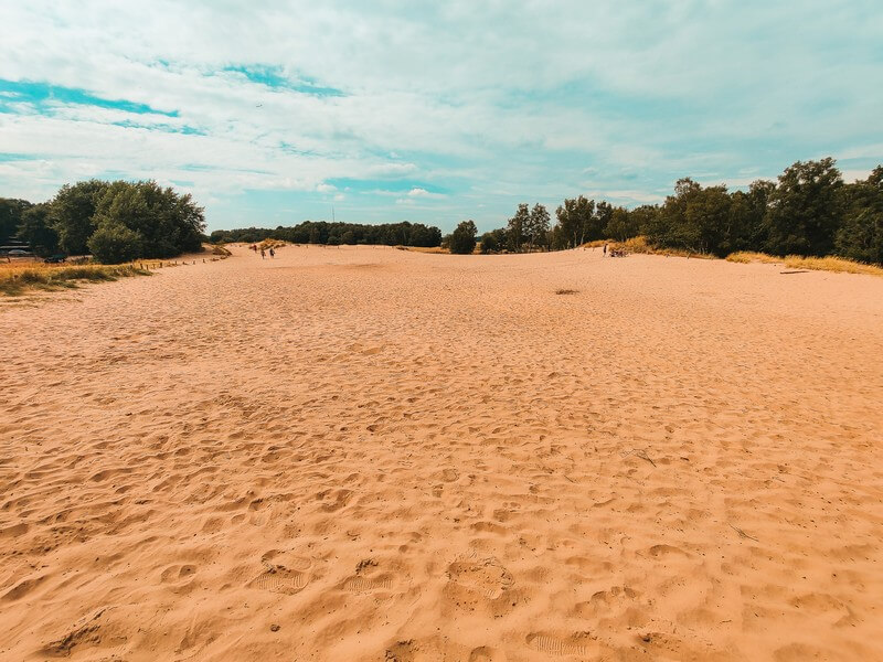 Sand so weit das Auge reicht im Hamburg Geheimtipp Boberger Dünen