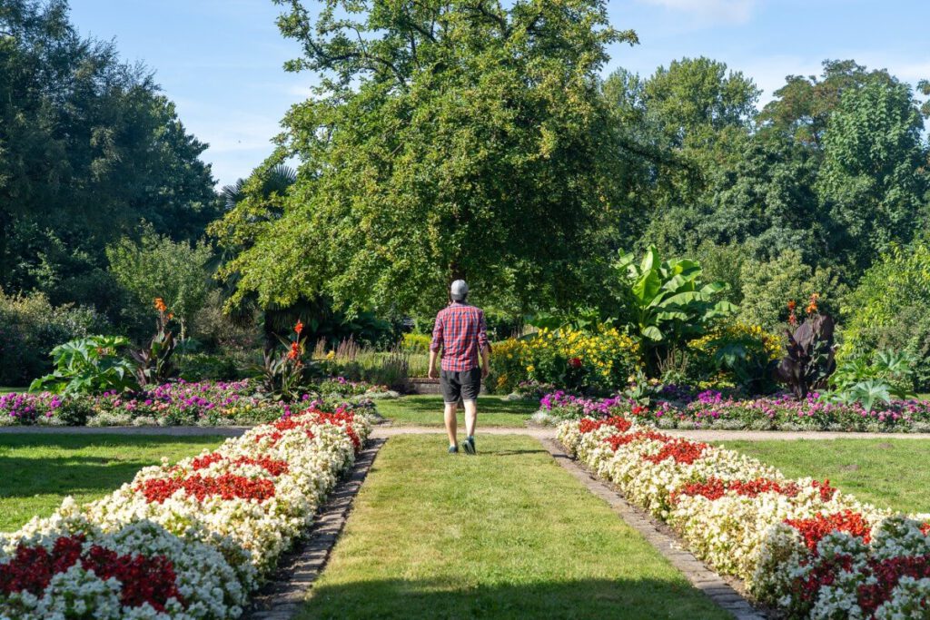 Mann läuft neben Blumenbeeten im Botanischen Sondergarten