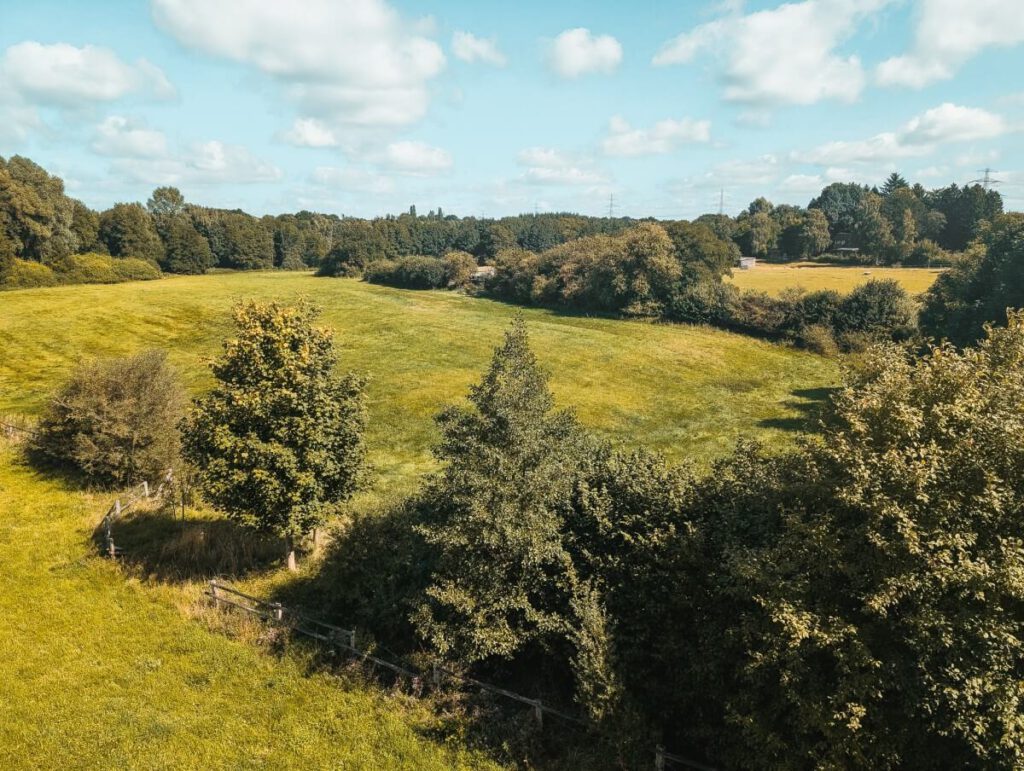 Graßfläche im Naturschutzgebiet Höltigbaum