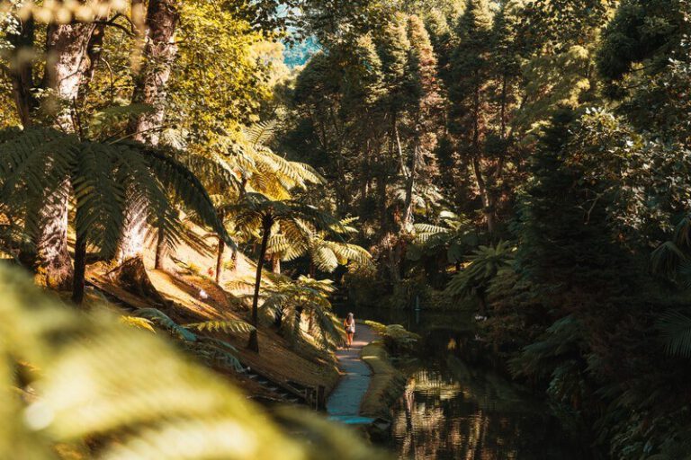 14 geniale Furnas Sehenswürdigkeiten für deinen Azoren Urlaub