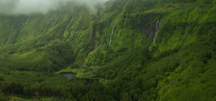 Eine Wand aus Wasserfällen die von einem Schleier aus Nebel umgeben ist auf der Insel Flores auf den Azoren