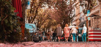 Kirschblüten liegen auf der Breiten Straße in Bonn. Menschen gehen an ihnen vorbei