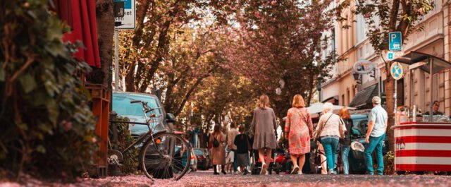 Cherry blossoms lie on Breite Straße in Bonn. People walk past them