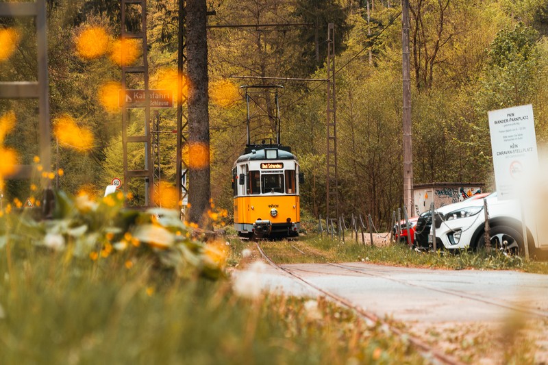 Die typisch gelben Wagen der Kirnitzschtalbahn fährt bis zur Haltestelle "Lichtenhainer Wasserfall".