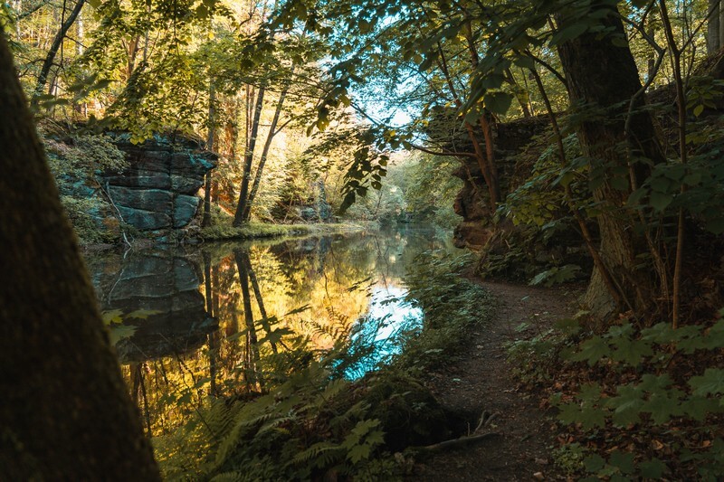 Wanderweg am ruhigen Wasser in der Sächsischen Schweiz